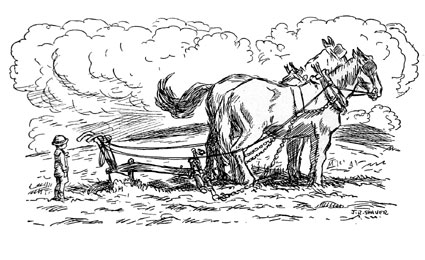 If 'renting' the ground meant plowing it with a big plow and two big horses Billy Brad was afraid he was not big enough to 'rent' the ground.