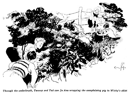 Through the underbrush, Tommy and Ted saw Jo Ann wrapping the complaining pig in Wicky's skirt.