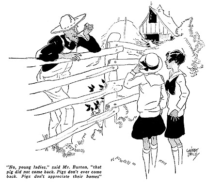 'No young ladies,' said Mr. Burton, 'that pig did not come back. Pigs don't ever come back. Pigs don't appreciate their home.'