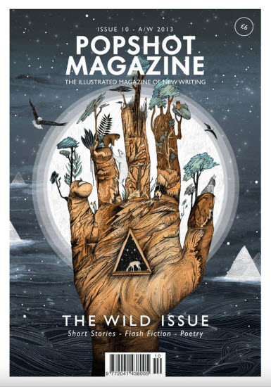 popshot quarterly